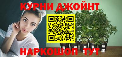 дживик Ливны
