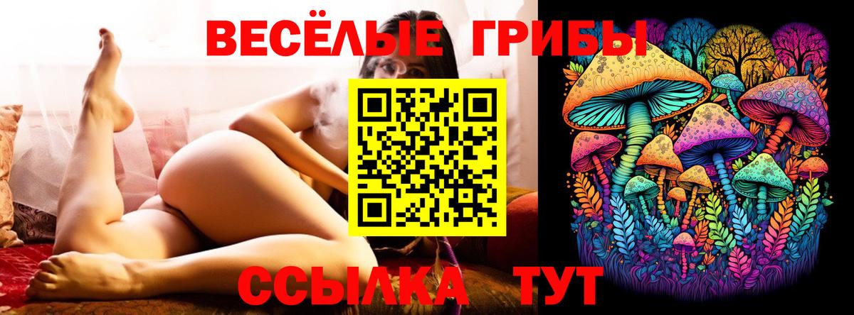 Псилоцибиновые грибы GOLDEN TEACHER Кандалакша
