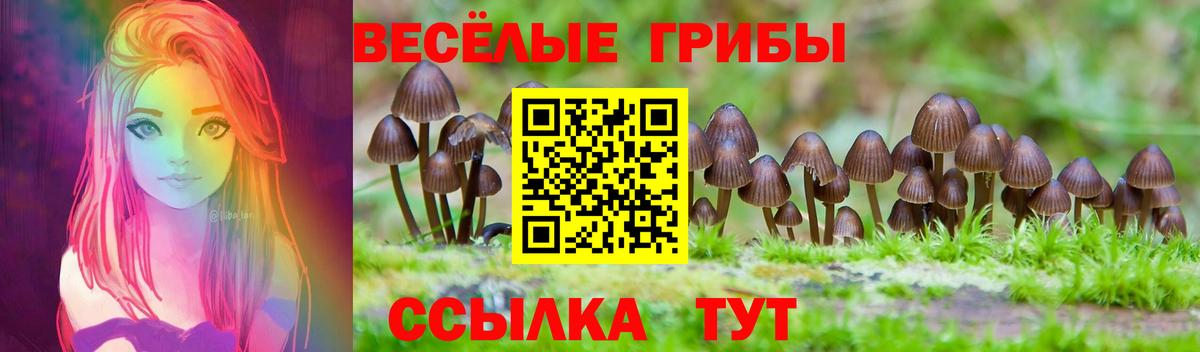 Псилоцибиновые грибы MAGIC MUSHROOMS  Псилоцибиновые грибы Cubensis  Вход с VPN  Кандалакша 